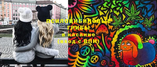 гашик Наволоки