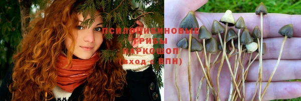 герыч Михайловка