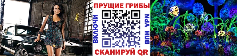 Купить где  Дорогобуж  Псилоцибиновые грибы GOLDEN TEACHER 