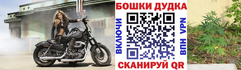 МАРИХУАНА план  Купить  Дорогобуж 